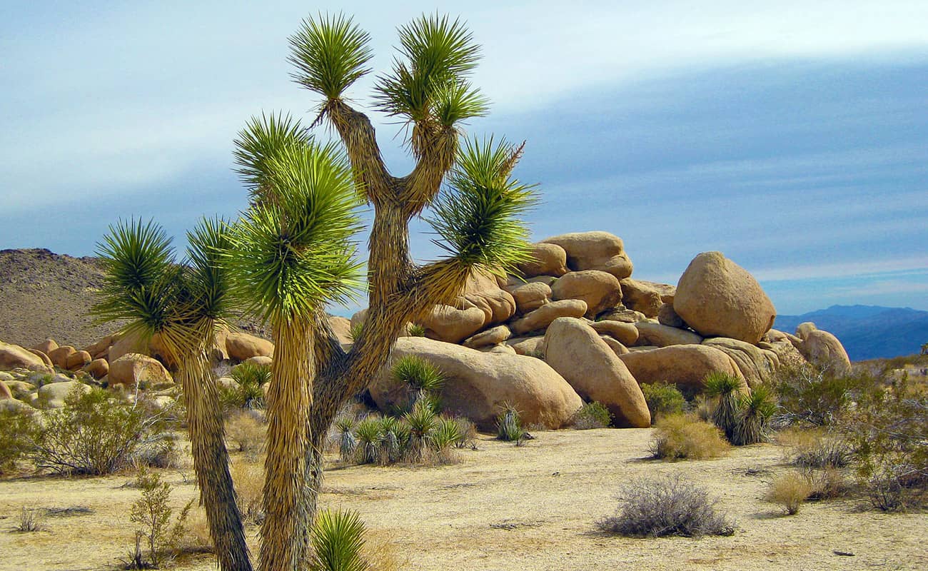 Explore National Parks